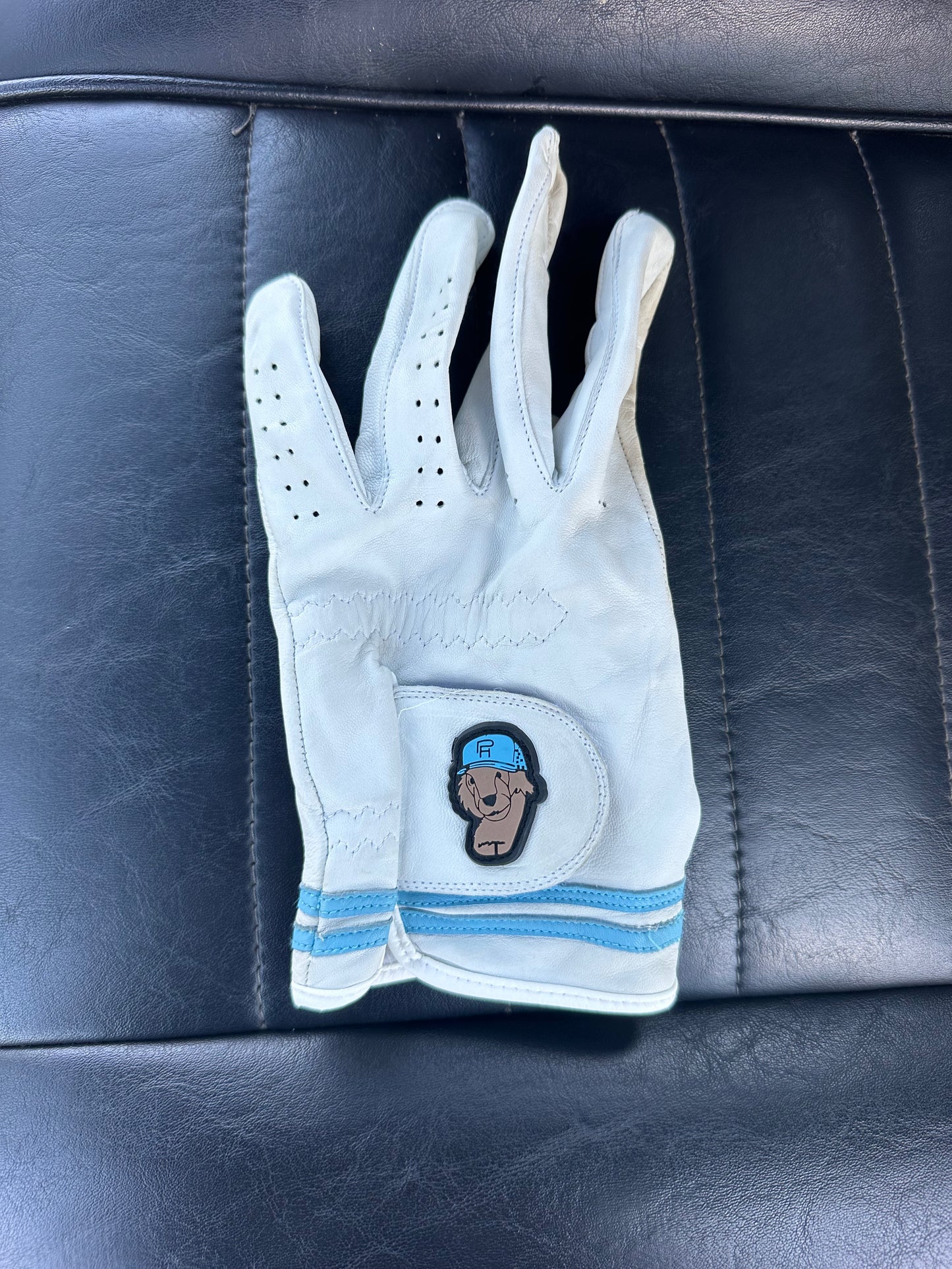 Mascot PH Glove